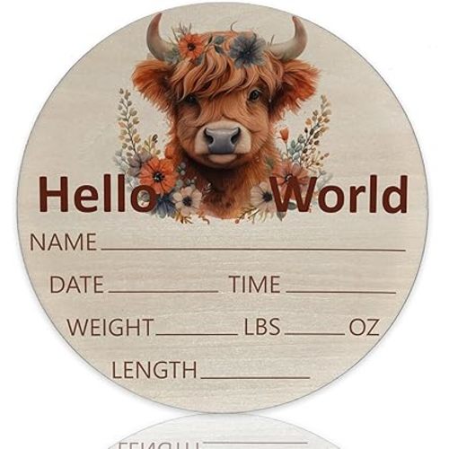 Hello World Highland Cow Baby Name Sign Birth Announcement Plaque with Name Date Weight 6" Round Birch Wood Nursery Decor Newborn Hospital Keepsake Gift for Parents