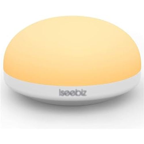 Night Light, Touch Lamp Bedside, Wireless Rechargeable LED Control Smart Bedside Table Lamp for Breastfeeding, Portable Baby Nursery Lamp, Eye Protection Indirect Lighting 2 Colors 5V : Amazon.com.au: Lighting