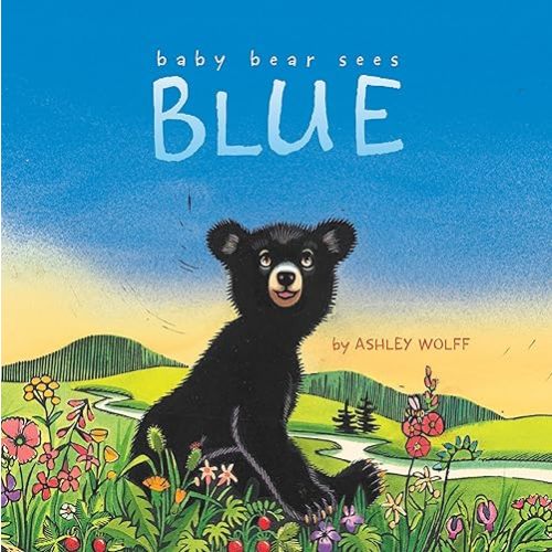 Baby Bear Sees Blue Hardcover – Picture Book, February 7, 2012