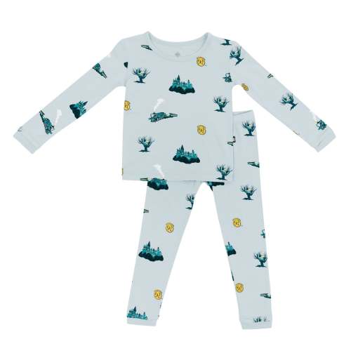 3T Harry Potter Long Sleeve Pajamas in Journey