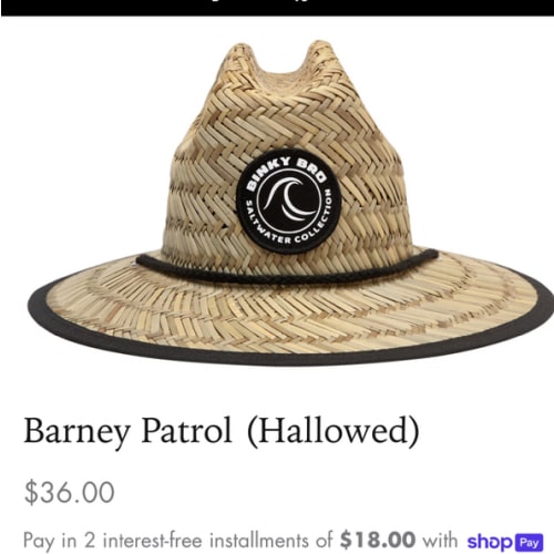 Barney Patrol (Hallowed) – Binkybro
