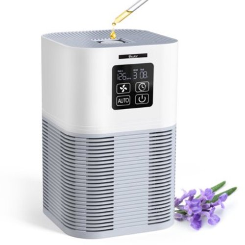Home Air Purifier,Coverage up to 600 sq.ft, H13 True HEPA Filter, Fragrance Sponge, 6 Timers, Quiet Operation - Ideal for Pets, Dander, Odor, Dust, Smoke, Pollen