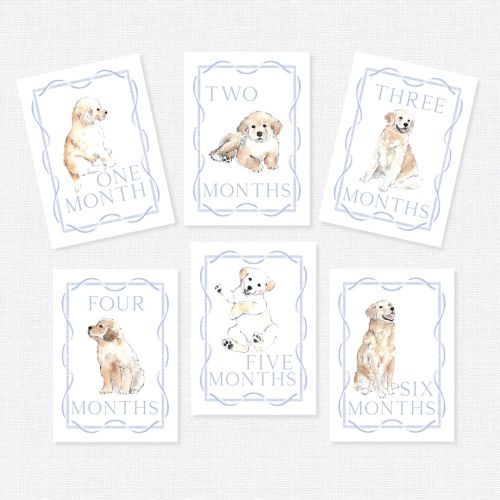 Golden Retriever Milestone Cards, First Year Cards, Monthly Milestone, Golden Retriever Boy Month Cards