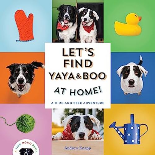 Let's Find Yaya and Boo at Home!: A Hide-and-Seek Adventure (Find Momo)
