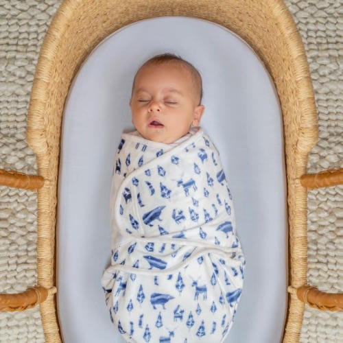 Aden + Anais Swaddle Wrap (Scandinavian Sky)