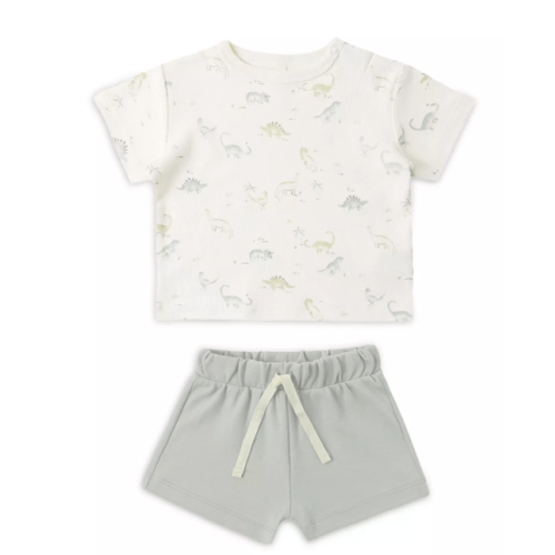 Boys' Boxy Dinosaur Print Tee & Shorts Set - Baby
