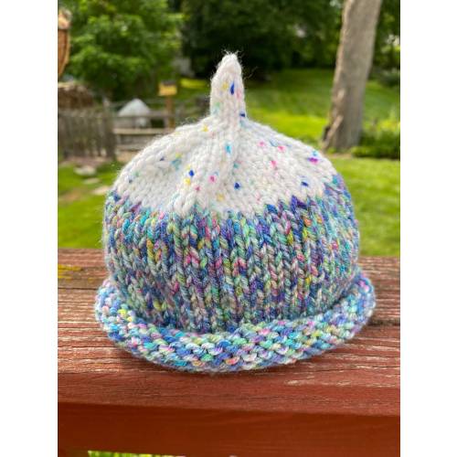 Newborn Rolled Brim Knit Hat with STEM