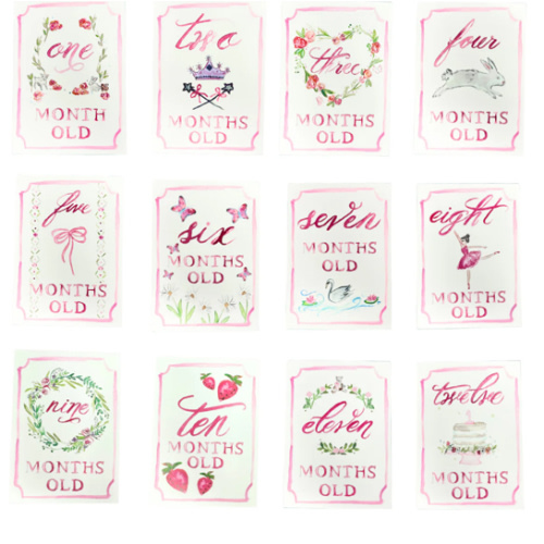 Monthly Milestone Card Set - Pink | Danrie