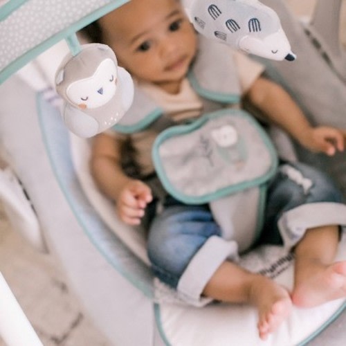 Ingenuity Power Adapt Portable Swing, Color: Abernathy