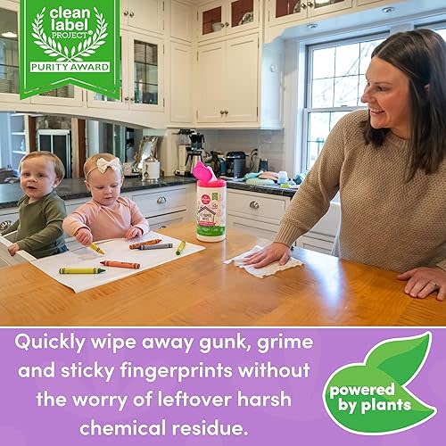 All Purpose Wipes by Dapple Baby, Plant Based & Hypoallergenic Cleaning Wipes, Hint of Lavender, 75 Count Canister + 30 Count (Pack of 1)