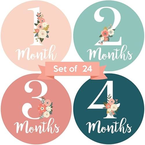 Baby Monthly Stickers - Set of 24 - Floral Baby Girl Milestone Stickers - Perfect for Newborn Girls - Month to Month Milestones - Pink & Teal Floral Design (Set of 24)
