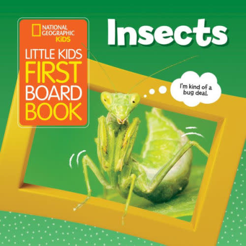 National Geographic Kids Little Kids First Board Book: Insects by Ruth A. Musgrave, Board Book | Barnes & Noble®