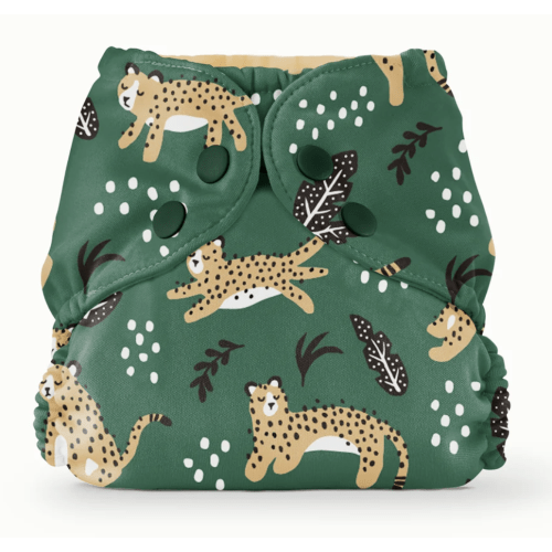 Outer–WWF Wildcats / One