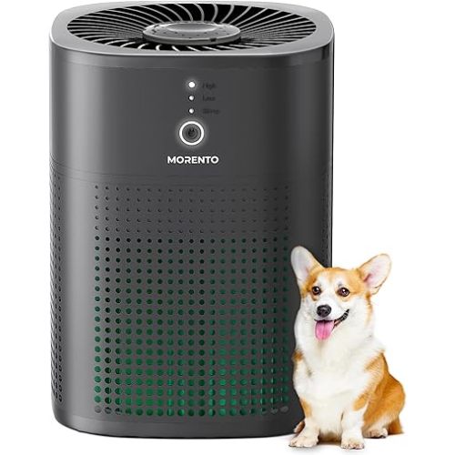 MORENTO Air Purifiers for Bedroom, HEPA Filter for Smoke, Pet Dander with Fragrance Sponge, Small Air Purifier with Sleep Mode, HY1800, Black, 1 Pack