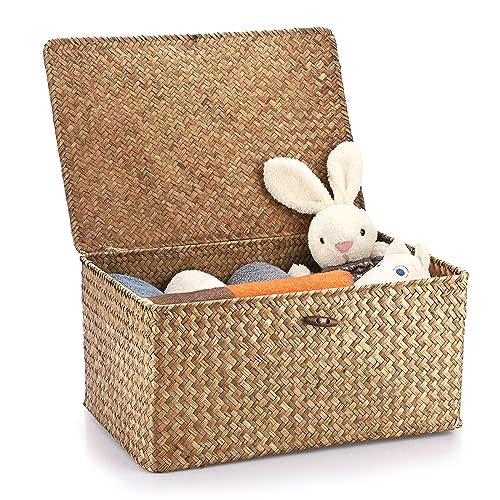 Hipiwe Wicker Shelf Baskets Bin with Lid, Handwoven Seagrass Basket Storage Bins Rectangular Household Basket Boxes for Shelf Wardrobe Home Organizer, Coffee X-Large