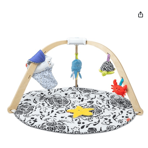 Ocean Easy-Fold Play Gym - Multi