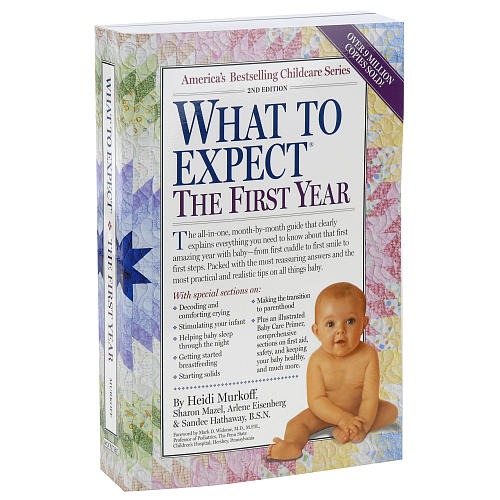 What To Expect The First Year Book