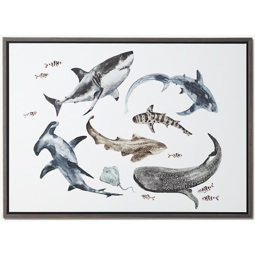 Watercolor Marine Life Organic Art - Sharks | RH Baby & Child