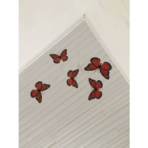 Monarch Butterfly Crib Mobile