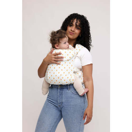 Victoria Aerial Carrier – WildBird