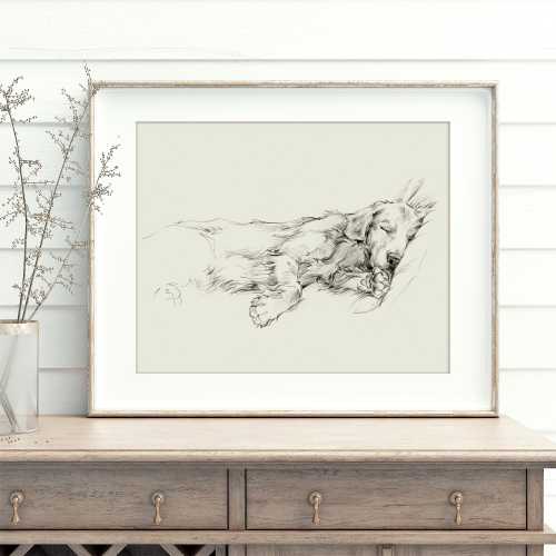 Golden Retriever Wall Art Print - Elegant Dog Sketch Portrait by Ethan Harper - Sleeping Golden Retriever Artwork For Walls - Dog Drawing