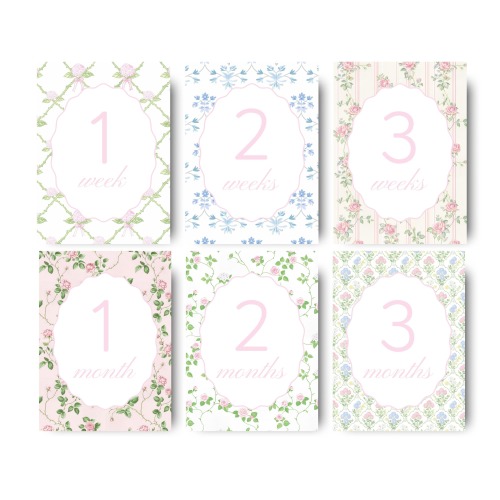 Girl Monthly Milestone Cards Floral Theme Digital Newborn Baby Girl Month Cards Week Card Grandmillennial Style Printable Month Cards Floral