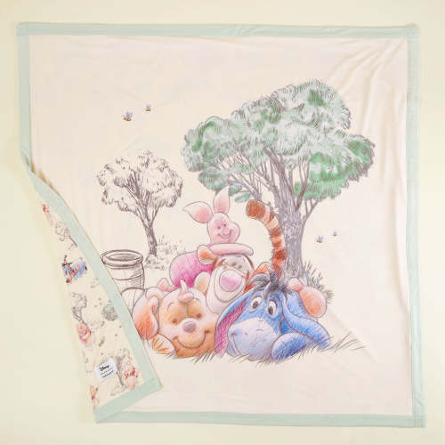 Disney Hundred Acre Wood & Pooh & Friends Luxette Patoo® Blanket