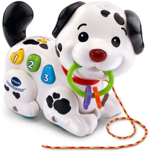 VTech Pull and Sing Puppy, Interactive Walking Toy Dog for Learning and Play for Babies