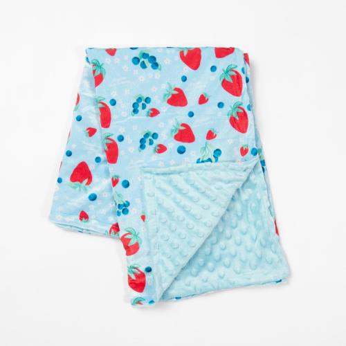 Red, White, & Blue Fruit Minky Baby Blanket