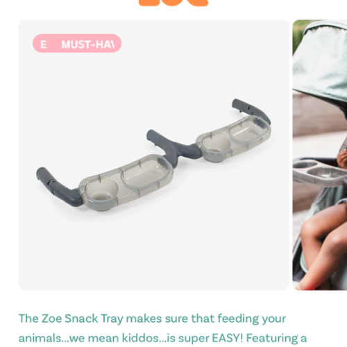 Snack Tray
