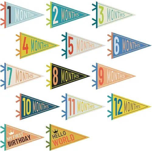 14 Pcs Baby Felt Pennant Milestone Signs Monthly Milestone Banner Flags Pennant Triangle Banner Age Milestone Flag Signs for Boy Girl Newborn Birthday Party Decor(Mixed Colors)