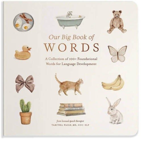 Our Big Book of First Words: A Collection of 100+ Foundational Words for Language Development (Our Little Adventures Series)