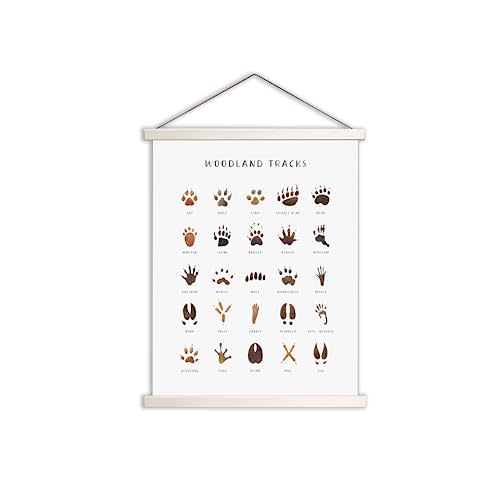 Woodland Tracks Hanging Poster, Canvas Artwork Woodland Nursery Decor 16x20 Inch, Animal Tracks Field Guide Sign, Forest Nursery Decor, Boy Nursery Wall Decor, Jungle Nursery Decor For Kids