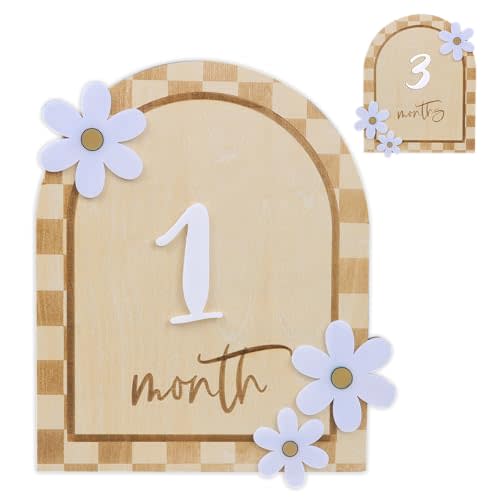Daisy 3D Baby Monthly Milestone, Wooden Baby Milestone Signs, Monthly Milestone Wood Discs, Baby Milestone Discs (Caro Card)