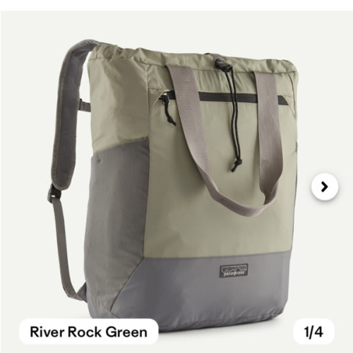 Patagonia Tote/ Diaper bag