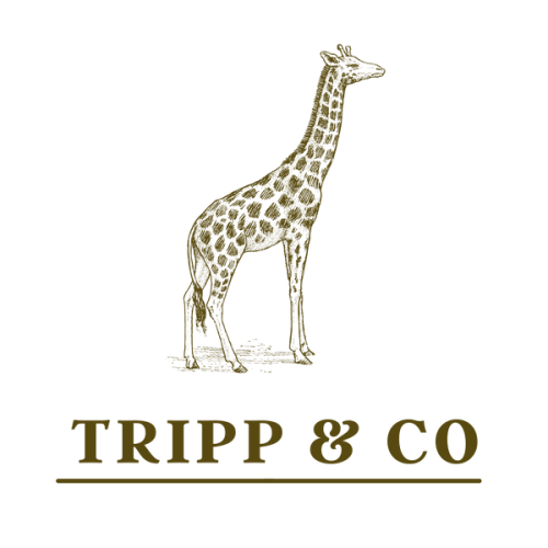 The William Romper Zippy – Tripp and Company