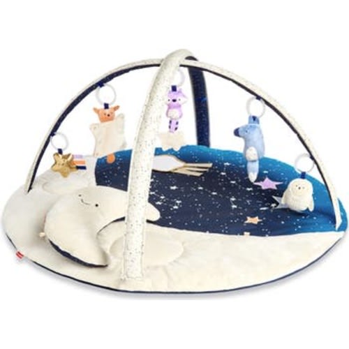 Celestial Dreams Activity Gym