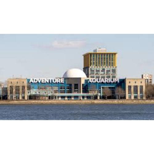 Family Visit to the Adventure Aquarium!