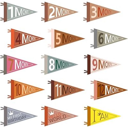 15 Pcs Baby Monthly Milestone, Monthly Milestone Pennants for Newborn Boy or Girl Felt Milestone Banner Flags Milestone Flag Signs for Baby Showers Newborn Moms Gift