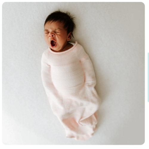 Pink Swaddle Sleep Sack – Swaddelini