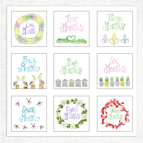 Southern Baby Milestone Cards - The Silver Suitcase