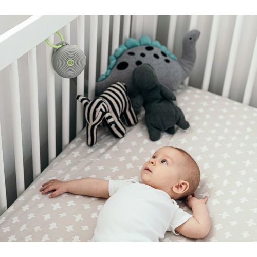 Yogasleep Hushh Sound Machine