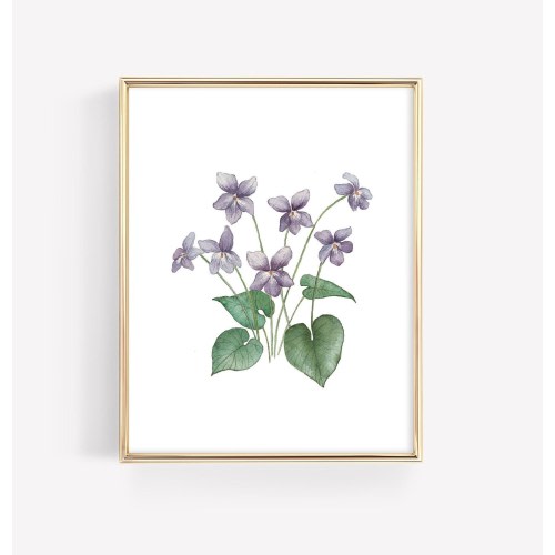 Purple Violet Art Print, Art Print For Livingroom, Vintage Violet Art Print, Botanical Wall Art, Farmhouse Wildflower Wall Art, Cottagecore
