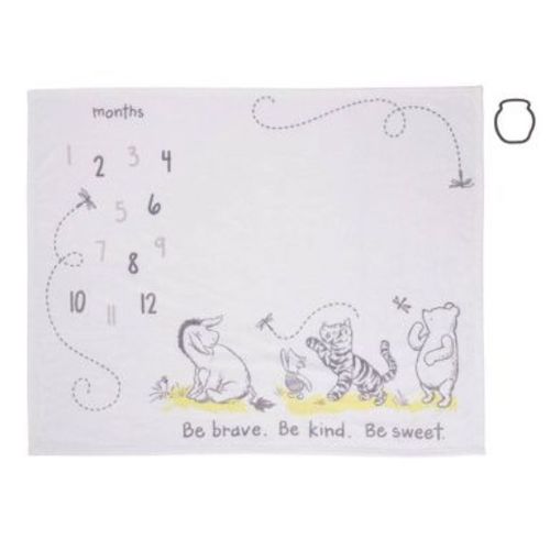 Disney Baby Classic Pooh Milestone Blanket