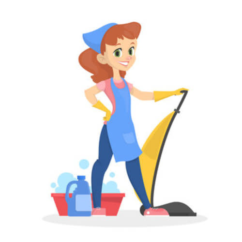 Professional House Cleaning