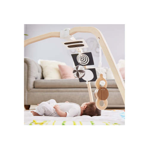 The Play Gym | Baby Activity & Tummy Time Mat | Lovevery