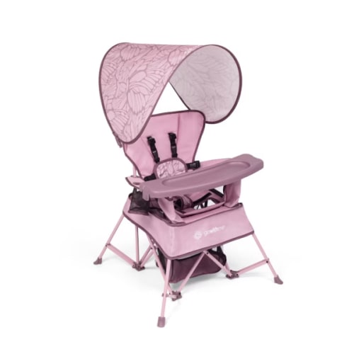 Baby Delight Go With Me Venture Deluxe Portable Chair
