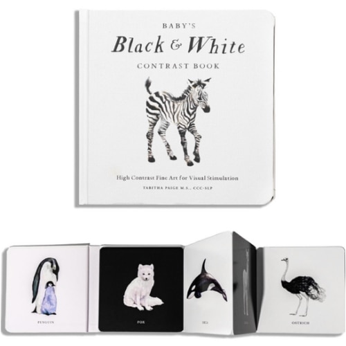Baby's Black and White Contrast Book