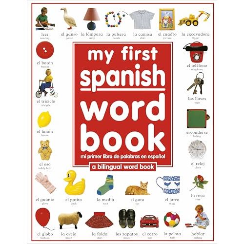My 1st Spanish Word Book / Mi Primer Libro De Palabras EnEspanol: A Bilingual Word Book