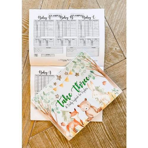 Take Three: A Daily Logbook for Triplets